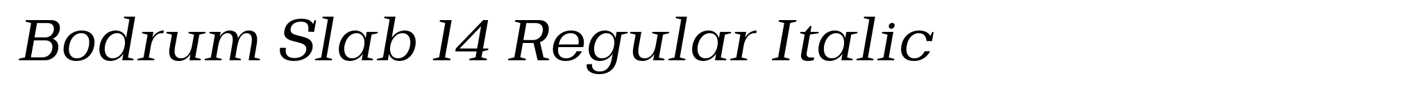 Bodrum Slab 14 Regular Italic image